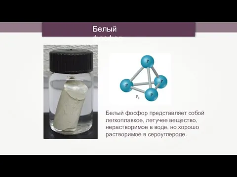 Белый фосфор Белый фосфор представляет собой легкоплавкое, летучее вещество, нерастворимое