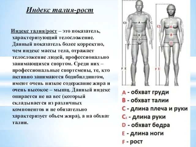 Индекс талия-рост Индекс талия/рост – это показатель, характеризующий телосложение. Данный