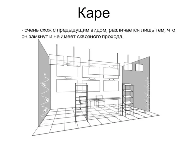 - очень схож с предыдущим видом, различается лишь тем, что