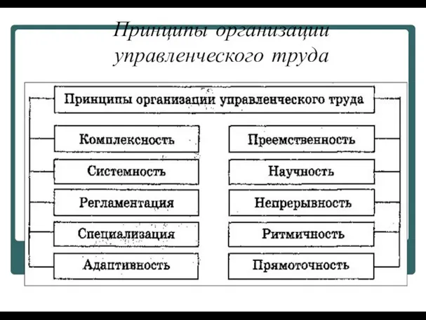 Принципы организации управленческого труда