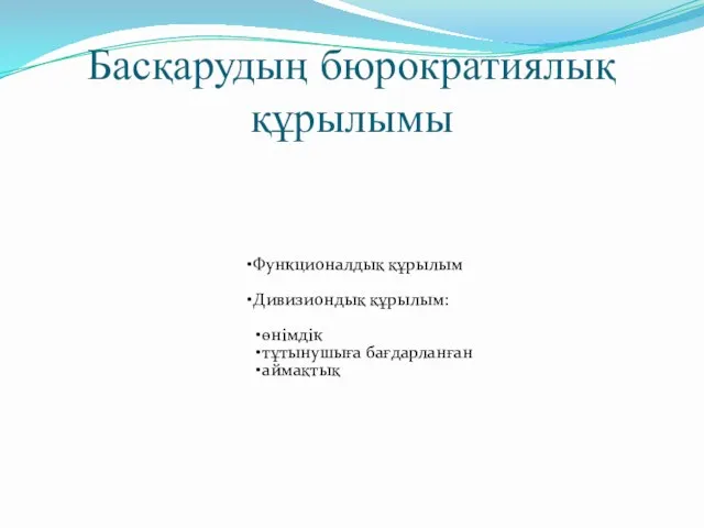 Басқарудың бюрократиялық құрылымы Функционалдық құрылым Дивизиондық құрылым: өнімдік тұтынушыға бағдарланған аймақтық