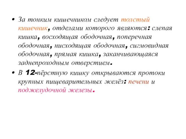 За тонким кишечником следует толстый кишечник, отделами которого являются: слепая