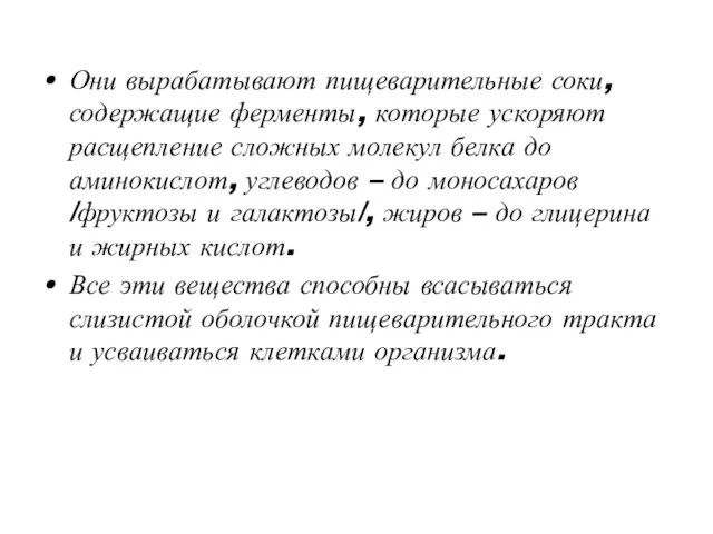 Они вырабатывают пищеварительные соки, содержащие ферменты, которые ускоряют расщепление сложных