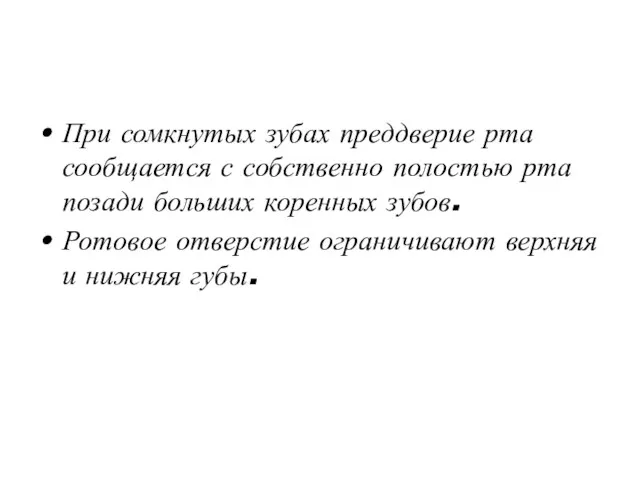 При сомкнутых зубах преддверие рта сообщается с собственно полостью рта