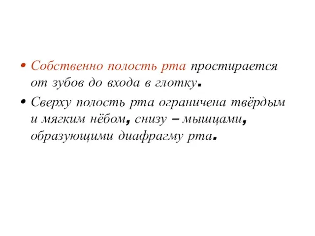 Собственно полость рта простирается от зубов до входа в глотку.