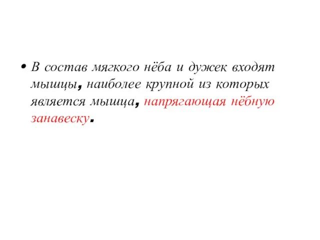 В состав мягкого нёба и дужек входят мышцы, наиболее крупной