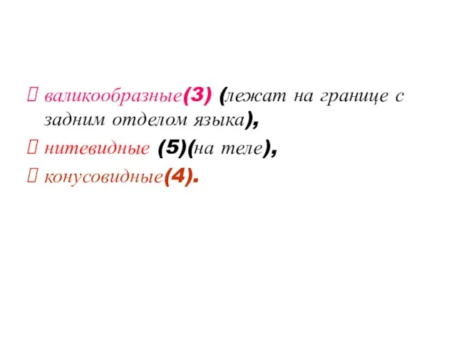 валикообразные(3) (лежат на границе с задним отделом языка), нитевидные (5)(на теле), конусовидные(4).