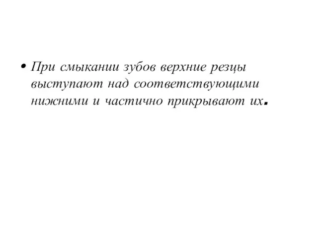 При смыкании зубов верхние резцы выступают над соответствующими нижними и частично прикрывают их.