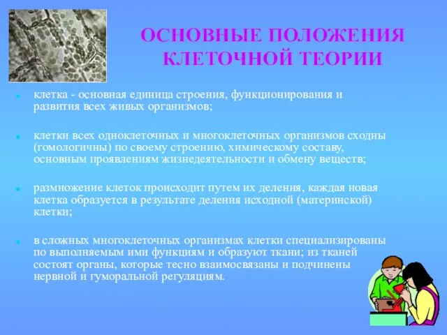 ОСНОВНЫЕ ПОЛОЖЕНИЯ КЛЕТОЧНОЙ ТЕОРИИ клетка - основная единица строения, функционирования