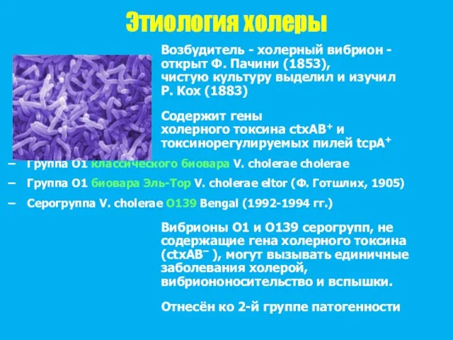 Этиология холеры Возбудитель - холерный вибрион - открыт Ф. Пачини