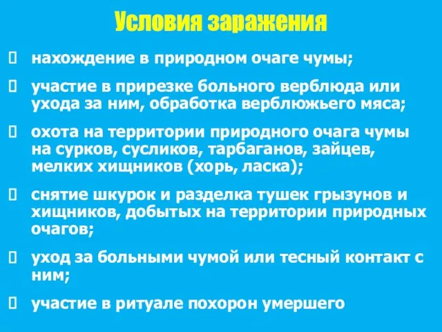 Условия заражения нахождение в природном очаге чумы; участие в прирезке