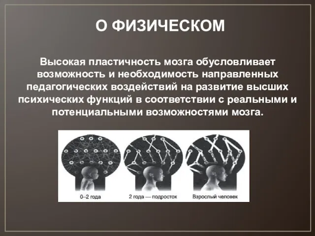 О ФИЗИЧЕСКОМ Высокая пластичность мозга обусловливает возможность и необходимость направленных