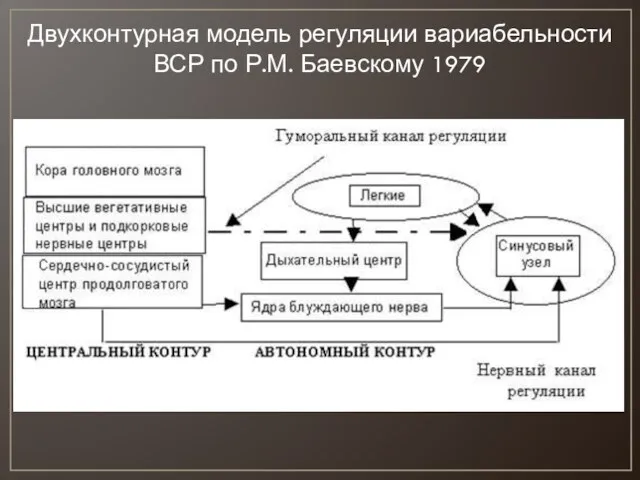 Двухконтурная модель регуляции вариабельности ВСР по Р.М. Баевскому 1979