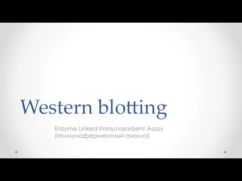 Western blotting Enzyme Linked Immunosorbent Assay (Иммуноферментный анализ)