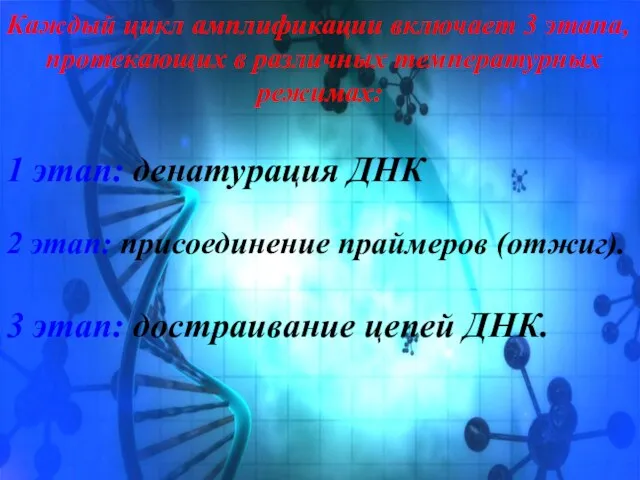 Каждый цикл амплификации включает 3 этапа, протекающих в различных температурных