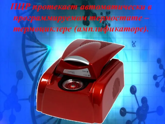 ПЦР протекает автоматически в программируемом термостате – термоциклере (амплификаторе).