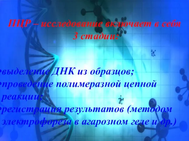 ПЦР – исследование включает в себя 3 стадии: выделение ДНК