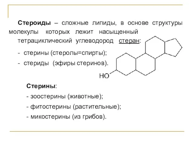 Стероиды – сложные липиды, в основе структуры молекулы которых лежит