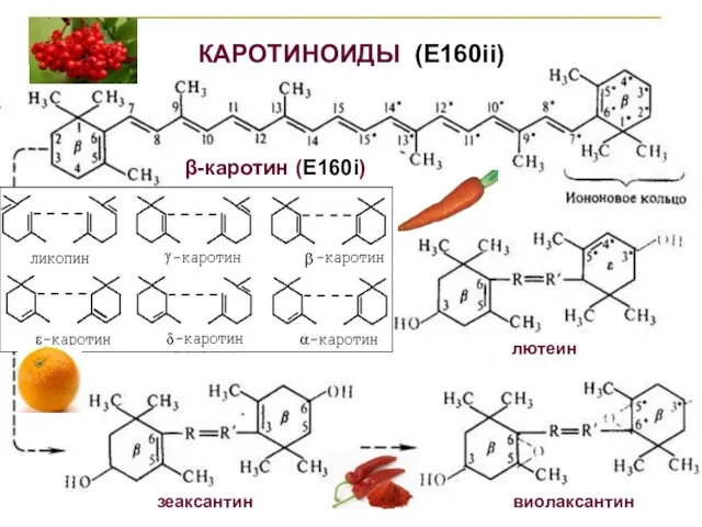 КАРОТИНОИДЫ (Е160ii) β-каротин (Е160i) зеаксантин виолаксантин лютеин