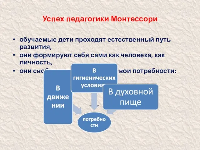 Успех педагогики Монтессори обучаемые дети проходят естественный путь развития, они