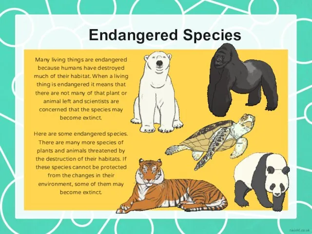 Endangered Species Many living things are endangered because humans have