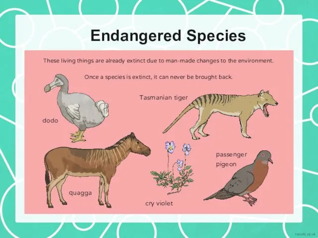 Endangered Species These living things are already extinct due to