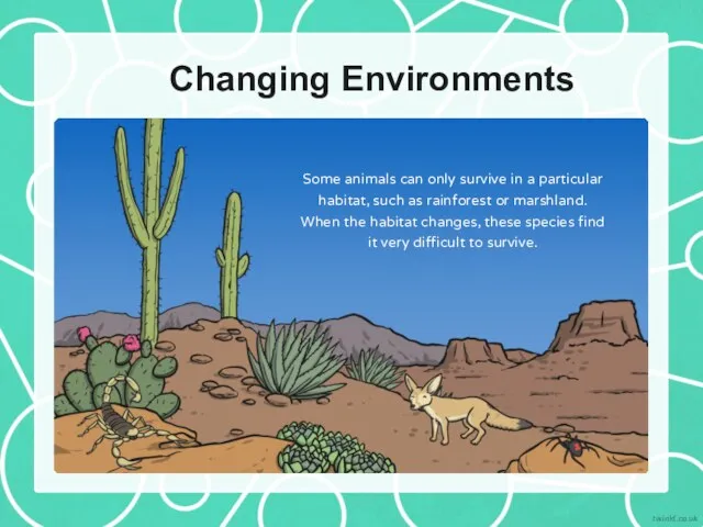 Changing Environments Some animals can only survive in a particular