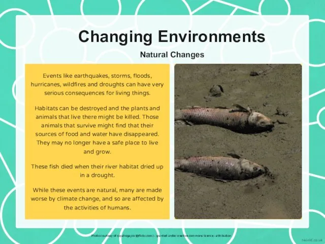 Changing Environments Events like earthquakes, storms, floods, hurricanes, wildfires and