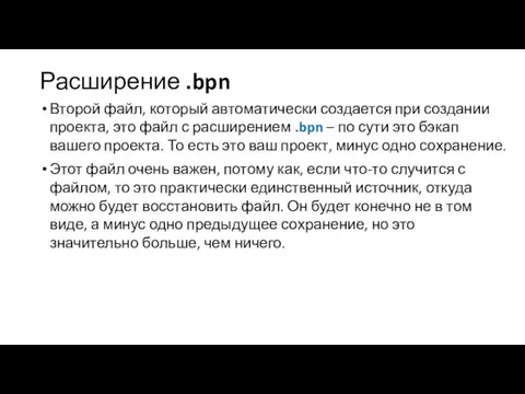 Расширение .bpn Второй файл, который автоматически создается при создании проекта,