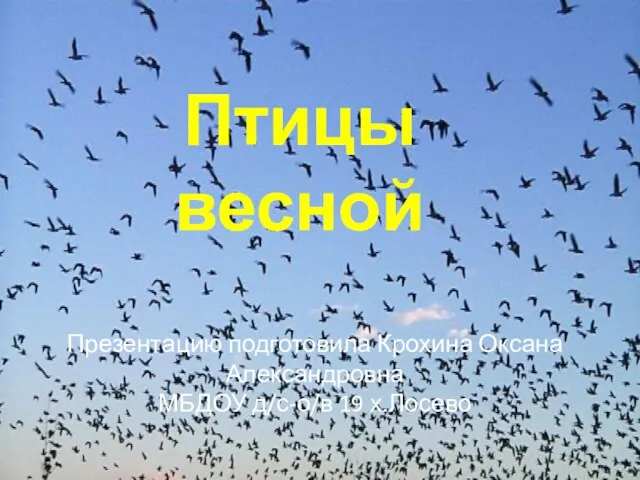 Птицы весной