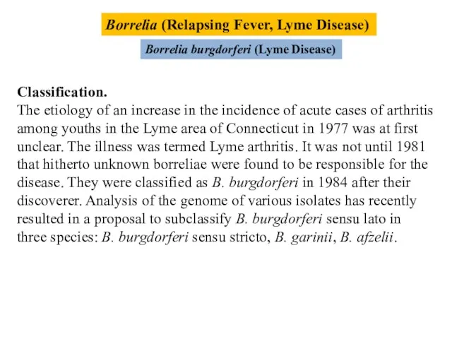 Borrelia (Relapsing Fever, Lyme Disease) Borrelia burgdorferi (Lyme Disease) Classification. The etiology of