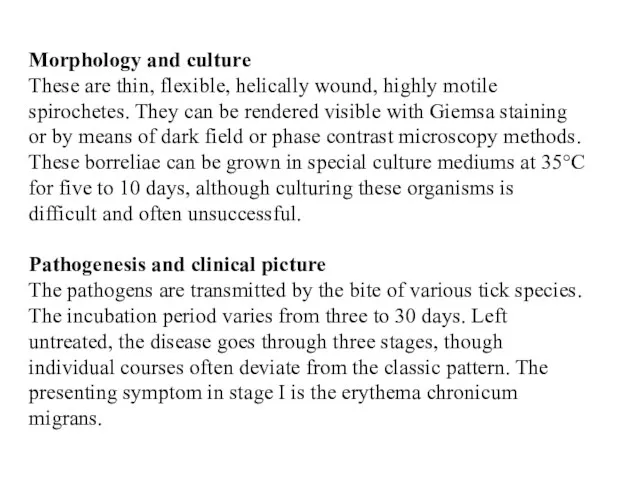 Morphology and culture These are thin, flexible, helically wound, highly