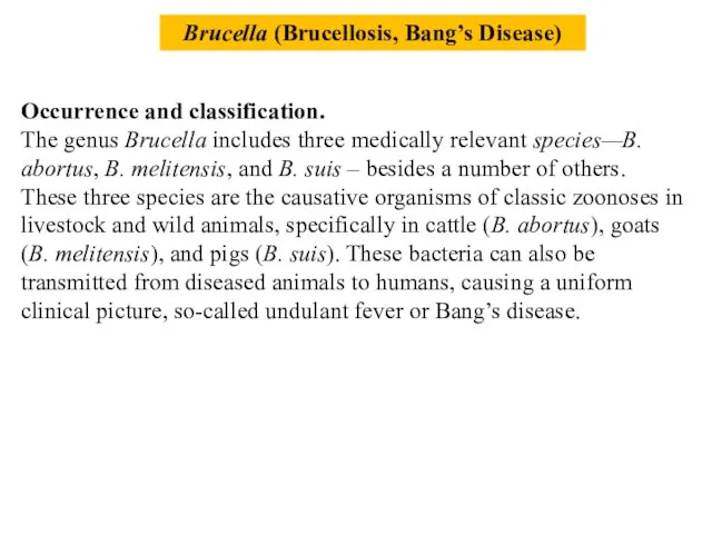 Occurrence and classification. The genus Brucella includes three medically relevant species—B. abortus, B.