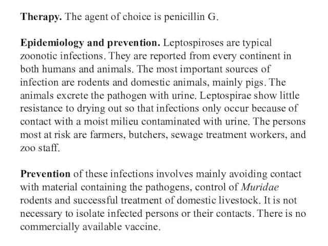 Therapy. The agent of choice is penicillin G. Epidemiology and prevention. Leptospiroses are