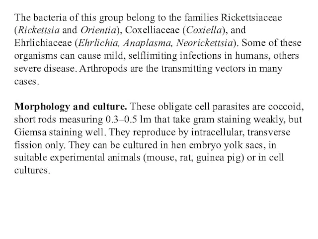 The bacteria of this group belong to the families Rickettsiaceae (Rickettsia and Orientia),