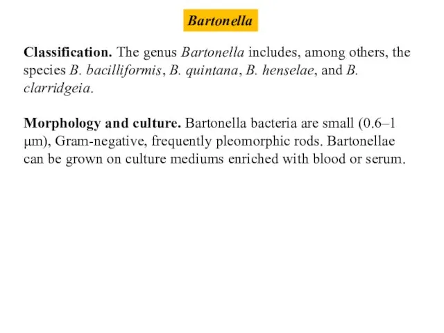 Bartonella Classification. The genus Bartonella includes, among others, the species B. bacilliformis, B.