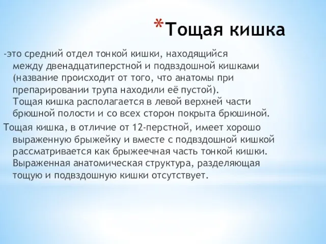 Тощая кишка -это средний отдел тонкой кишки, находящийся между двенадцатиперстной