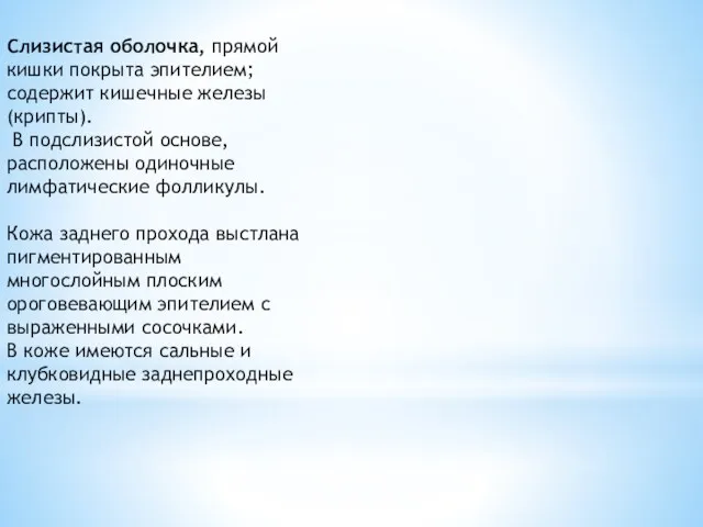 Слизистая оболочка, прямой кишки покрыта эпителием; содержит кишечные железы (крипты).