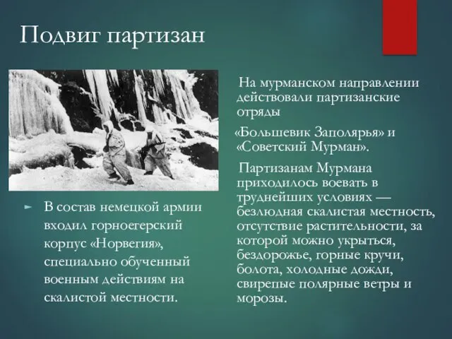 Подвиг партизан На мурманском направлении действовали партизанские отряды «Большевик Заполярья»