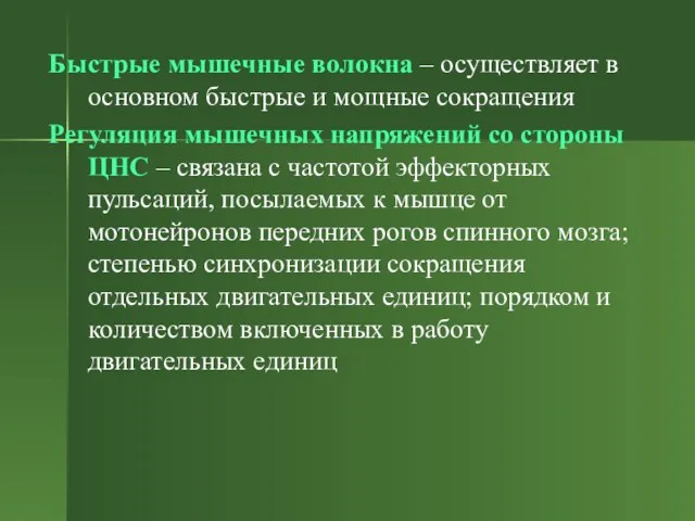 Быстрые мышечные волокна – осуществляет в основном быстрые и мощные сокращения Регуляция мышечных