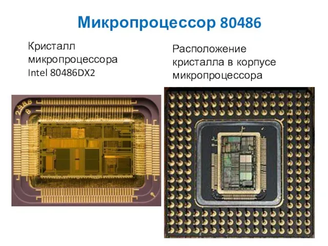 Микропроцессор 80486 Кристалл микропроцессора Intel 80486DX2 Расположение кристалла в корпусе микропроцессора