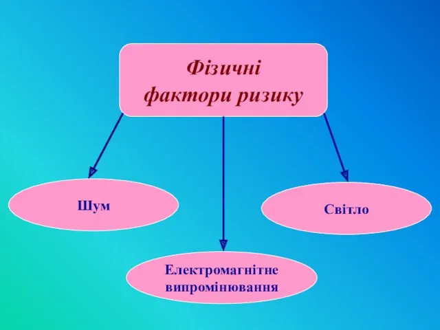 Фізичні фактори ризику Шум Електромагнітне випромінювання Світло