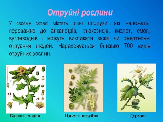 Отруйні рослини У своєму складі містять різні сполуки, які належать