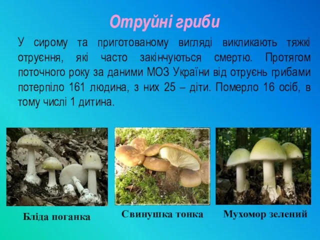 Отруйні гриби У сирому та приготованому вигляді викликають тяжкі отруєння,