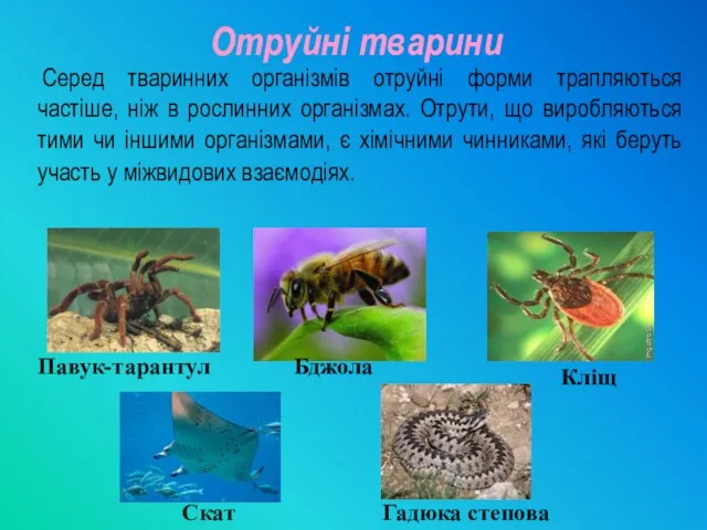 Серед тваринних організмів отруйні форми трапляються частіше, ніж в рослинних