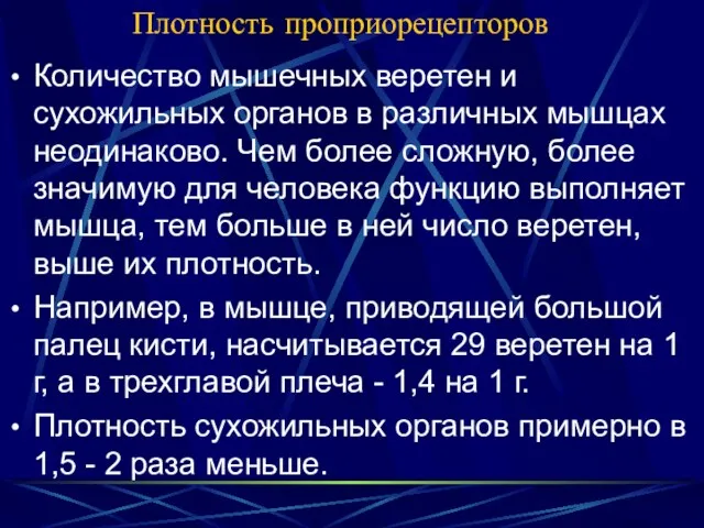 Плотность проприорецепторов Количество мышечных веретен и сухожильных органов в различных