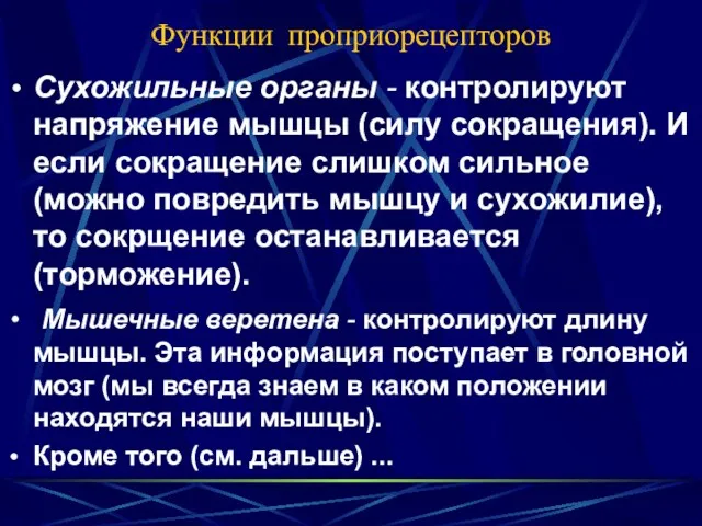 Функции проприорецепторов Cухожильные органы - контролируют напряжение мышцы (силу сокращения).