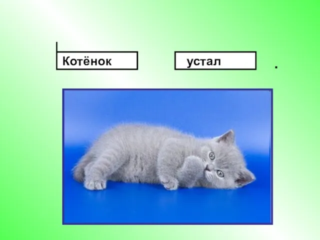 . Котёнок устал