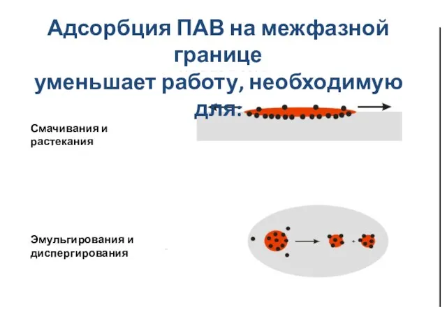 Адсорбция ПАВ на межфазной границе уменьшает работу, необходимую для: Смачивания и растекания Эмульгирования и диспергирования