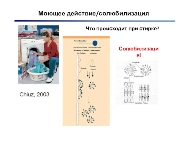 Моющее действие/солюбилизация Что происходит при стирке? Солюбилизация!